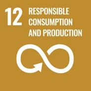 UN-Ziel für nachhaltige Entwicklung 12: Nachhaltige/r Konsum und Produktion